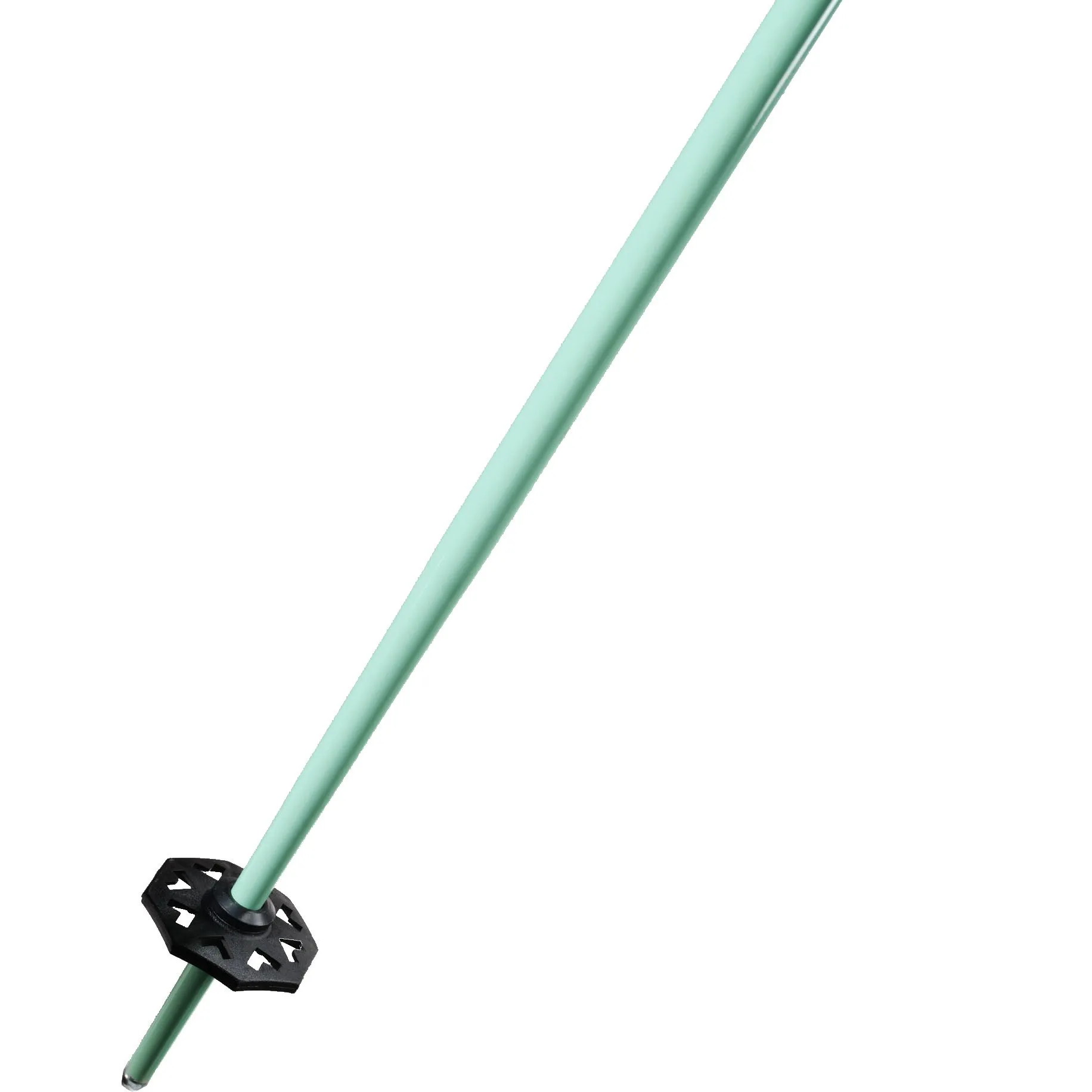 Black Crows - Duos Junius Alpine Ski Poles Kids turquoise