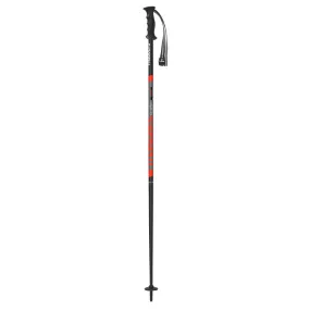 Builder Ski Poles