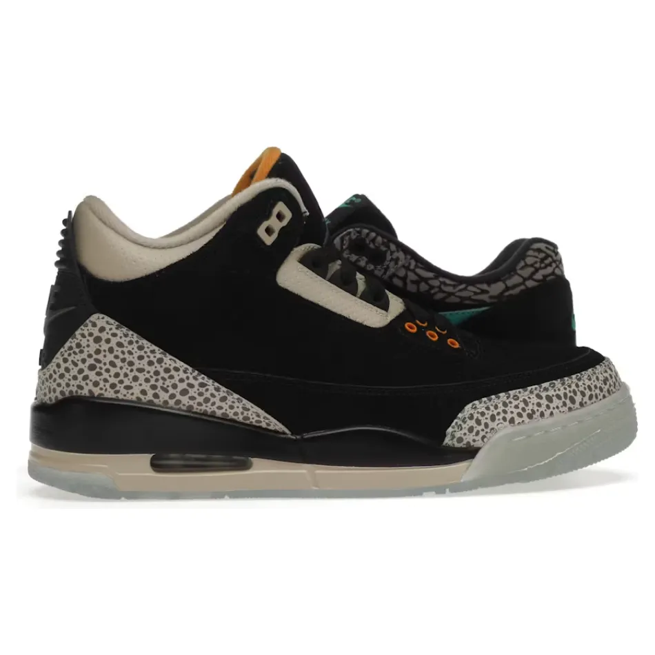 Jordan 3 Retro & Nike Air Max 1 atmos Pack