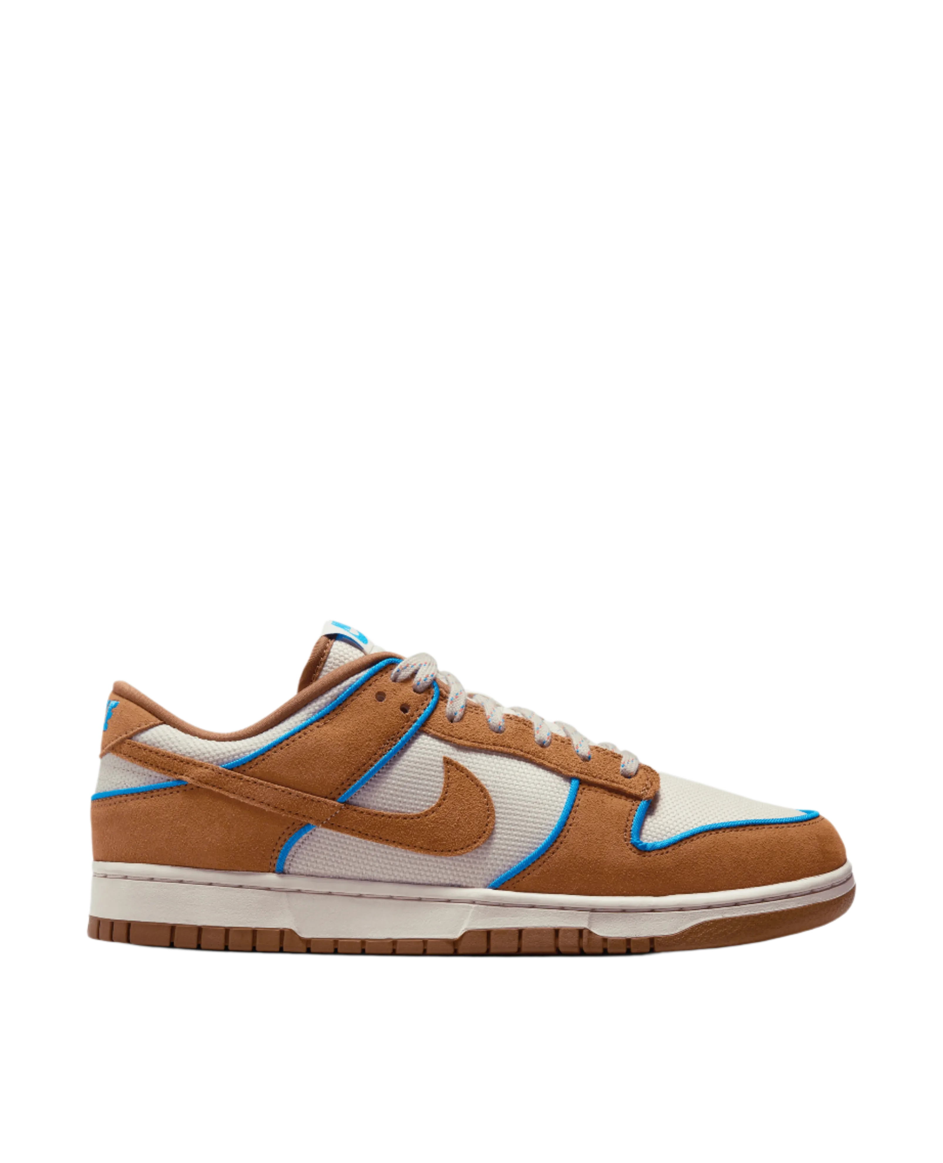 Nike Dunk Low Retro Prm