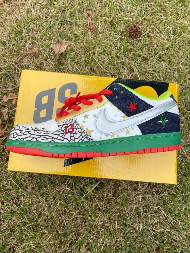 Nike SB Dunk Low What The Dunk