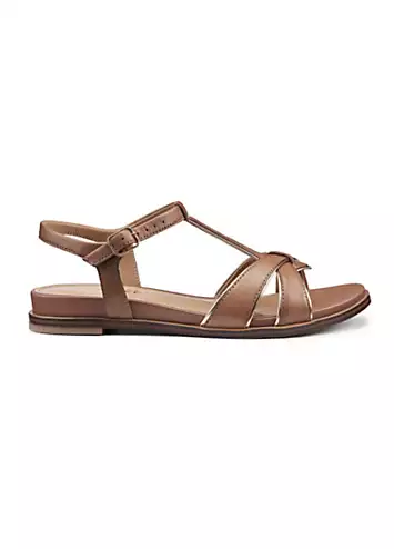 Pienza Rich Tan Women’s Sandals by Hotter | Look Again