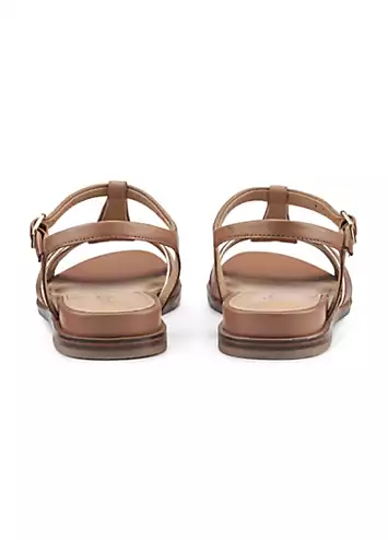 Pienza Rich Tan Women’s Sandals by Hotter | Look Again